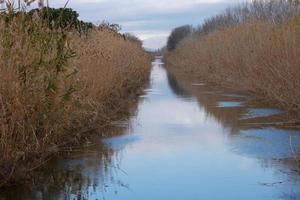 mond van de llobregat rivier- Aan de buitenwijken van de stad van Barcelona foto