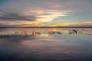 albufera estuarium in valencia, spanje foto