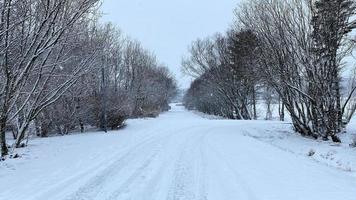 een visie van reykjavik park gedekt in sneeuw foto