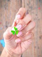 groene klaver in de hand foto