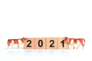 kleine os en houten blokken met nummers 2021 geïsoleerd op een witte achtergrond, een symbool van het jaar 2021 foto