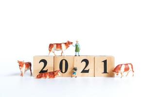 kleine os en mensen op houten blokken met nummers 2021 geïsoleerd op een witte achtergrond, een symbool van het jaar 2021 foto
