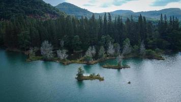 luchtfoto van meer en dennenbos in liwong park in thailand foto