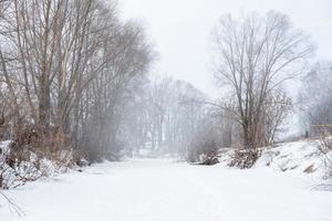 mistig ochtend- Aan een bevroren rivier- in de sneeuw, in winter winter het weer. foto