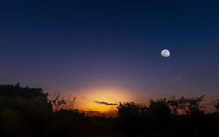 zonsondergang of zonsopkomst met silhouet van gras en struik en de maan foto