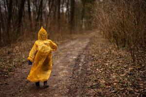 achterzijde visie van jongen in geel regenjas wandelen in de Woud na regen. foto