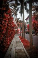 stil straat tafereel Aan de trottoir foto