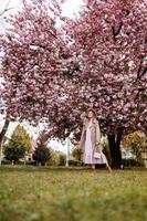 vrouw dag. mooi vrouw in de buurt de sakura bomen. vrouw in hoed, jurk en elegant jas. roze bloemen bloeiend in Oezjhorod, Oekraïne. bloesem in de omgeving van. voorjaar tijd concept. foto