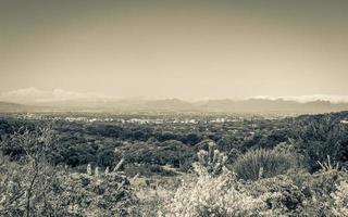 panoramisch uitzicht over kaapstad en natuur, kirstenbosch. foto