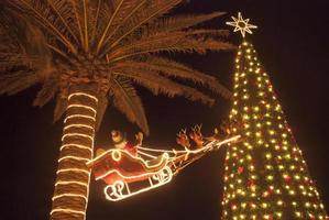 Kerstmis decoraties met een palm boom Aan cozumel eiland foto