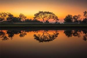bomen door de kanaal Bij zonsondergang, water reflectie foto