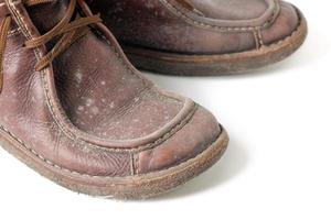 schimmel Aan bruin leer laarzen schoenen geïsoleerd Aan wit foto