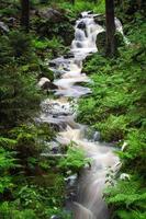 waterval, wild rivier- doubrava in Tsjechisch republiek. vallei doubrava in de buurt chotebor. foto