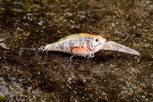 vissen lokken wobbler op een natte steen met mos foto