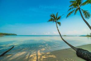 paradijselijk eiland met strand en zee
