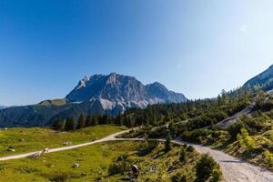 visie van de Alpen berg Oostenrijk. foto