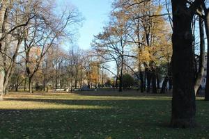 verzameling van mooi kleurrijk herfst bladeren groente, geel, oranje, rood foto