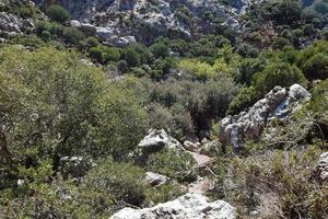 kato zakros dood vallei vegetatie landschap foto