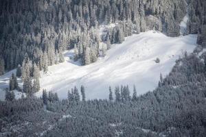 een winter berg landschap met Woud in de midden- leugens sneeuw foto