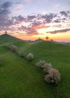 heuvel landschap in Zwitserland gedurende zonsondergang, Aan elk heuvel Daar is een boom foto