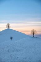 wit sneeuw heuvels landschap Aan elk heuvel staat een boom foto