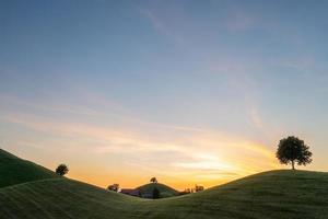 single bomen Aan heuvels gedurende zonsondergang foto