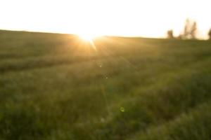 veld- landschap achtergrond met wazig achtergrond met zonnestralen foto