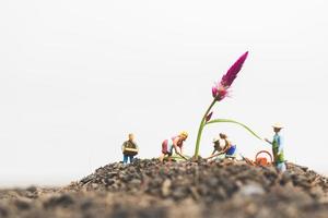 miniatuur tuinders die zorgen voor groeiende planten in het veld, milieuconcept foto