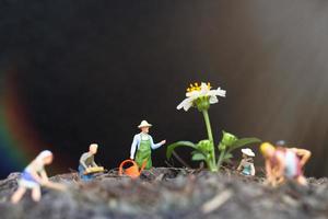 miniatuur tuinders die zorgen voor groeiende planten in het veld, milieuconcept foto