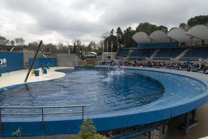 Madrid, Spanje - april 1 2019 - de dolfijn tonen Bij aquarium dierentuin foto