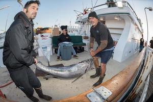 san diego, Verenigde Staten van Amerika - november 17, 2015 - visvangst boot lossen tonijn Bij zonsopkomst foto