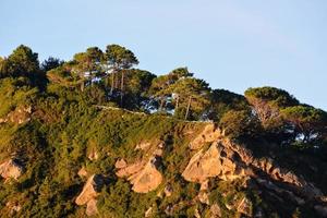 schilderachtige berglandschap foto