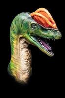 de hoofd van dilophosaurus in de donker , dinosaurus Aan zwart achtergrond foto