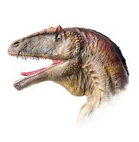 de hoofd van carcharodontosaurus , dinosaurus Aan geïsoleerd achtergrond . foto