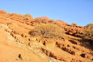 toneel- landschap Aan tenerife, kanarie eilanden, Spanje foto