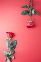 rozen op een rode achtergrond, concept voor Valentijnsdag foto