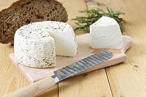witte kaas, greens en brood op een houten achtergrond foto