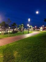 's nachts schoonheid in een openbaar park - gras en licht tentoongesteld foto