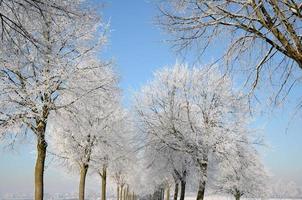 winter tijd in Westfalen foto