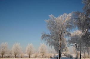 winter tijd in Westfalen foto