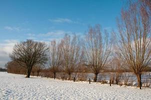 winter tijd in Westfalen foto