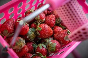 aardbeien in een roze mand foto