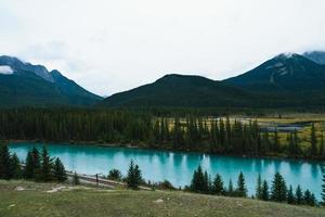 boog rivier- en rotsachtig bergen van moeras gezichtspunt in banff nationaal park foto