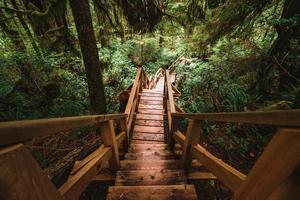 regenwoud spoor ucluelet Aan Vancouver eiland, Canada foto