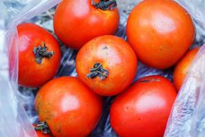 een tomaten - voorraad foto