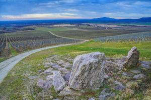 bewolkt dag in de wijngaarden van de tokaj regio foto