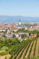 turijn, Italië - panorama met mol antonelliana monument, wijngaard en Alpen bergen foto