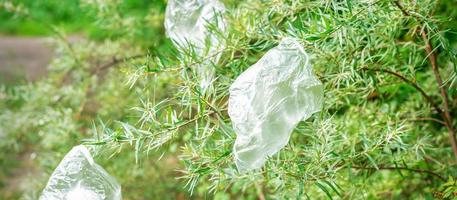 plastic Tassen hangende Aan Afdeling foto