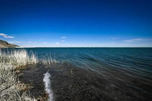 ulungur meer nationaal wetland park foto