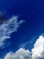 blauw lucht met wolken en boom foto